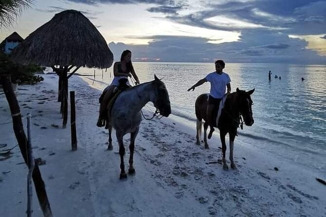 Horseback Riding on the Beaches of Holbox - Safety and Precautions
