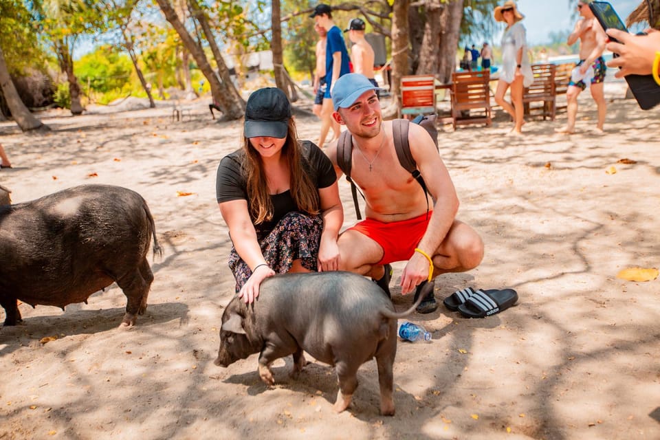 Koh Samui: Pig Island Day Tour by Speedboat - Lunch and Sightseeing