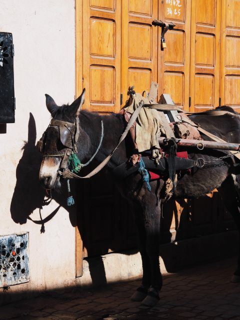 Marrakech Sightseeing With a Local Guide: Small Group Tour - Customization and Optional Visits