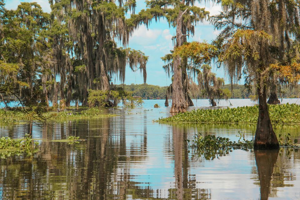 New Orleans: High Speed 9 Passenger Airboat Tour - Wildlife Sightings Galore