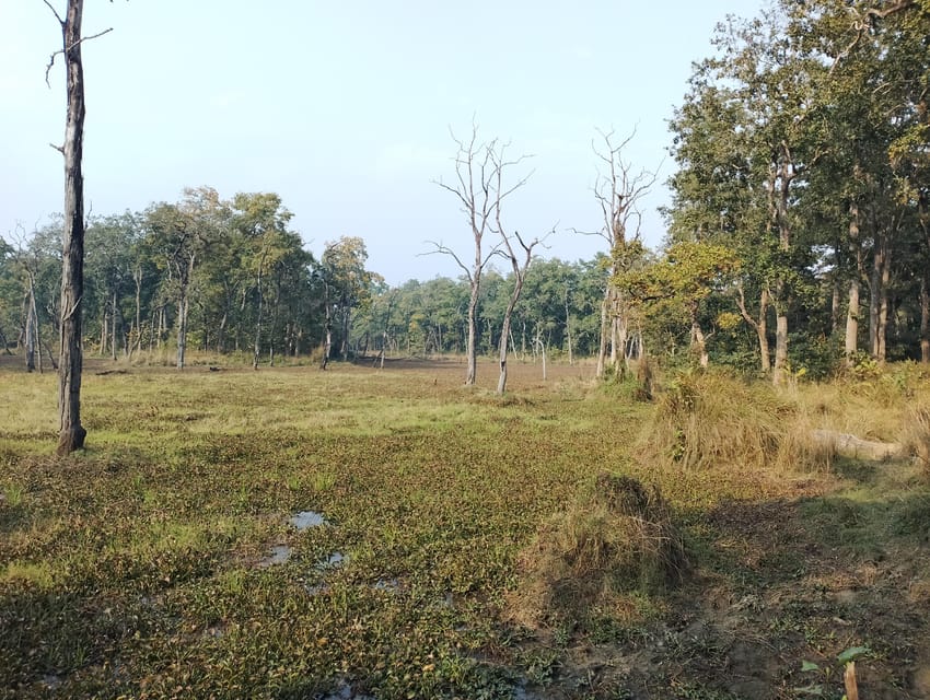 Wild Nights: Tower Stay in Chitwan National Park - Frequently Asked Questions