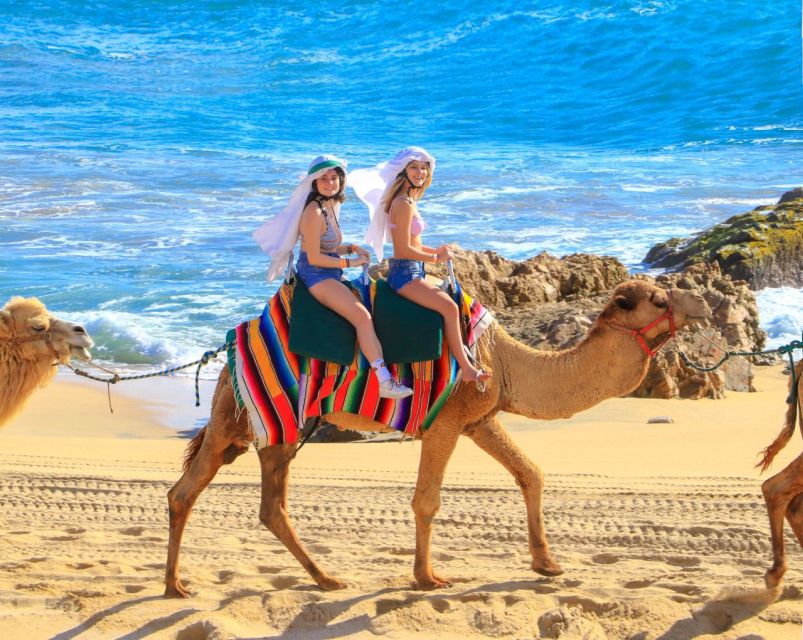 Cabo San Lucas: Camel Ride & Off-Road UTV Combo Adventure