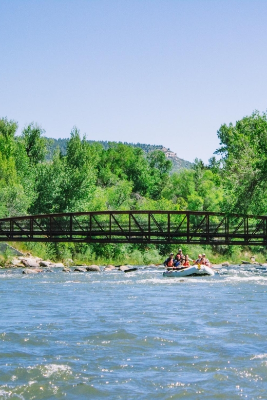 Durango, CO: Whitewater Rafting — 4 Hour Trip
