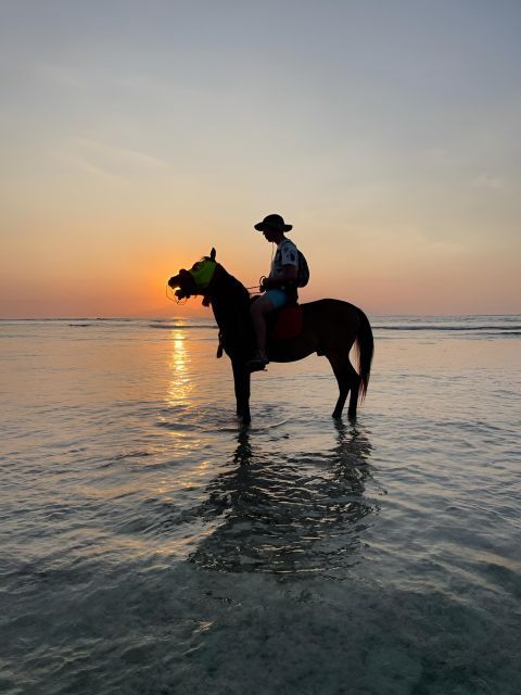 Horse Ride On The Beach on Gili Island - Frequently Asked Questions