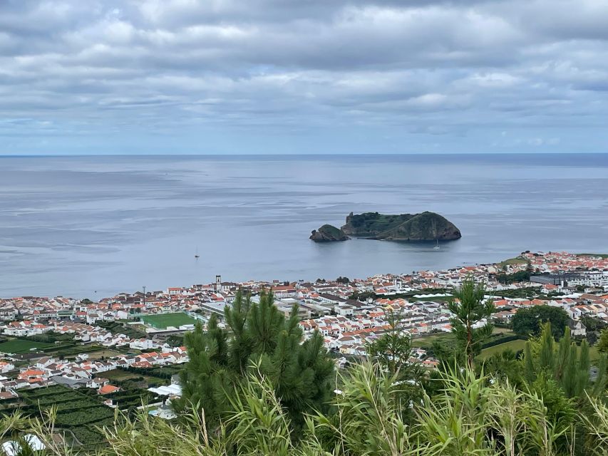 Privat Van Tour Furnas Valley, Gorreana Tea – Islands Gems