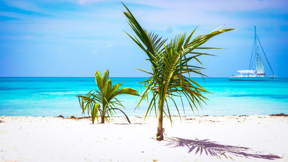 Saona Island Day Trip + Lunch + Open Bar From Punta Cana - Frequently Asked Questions