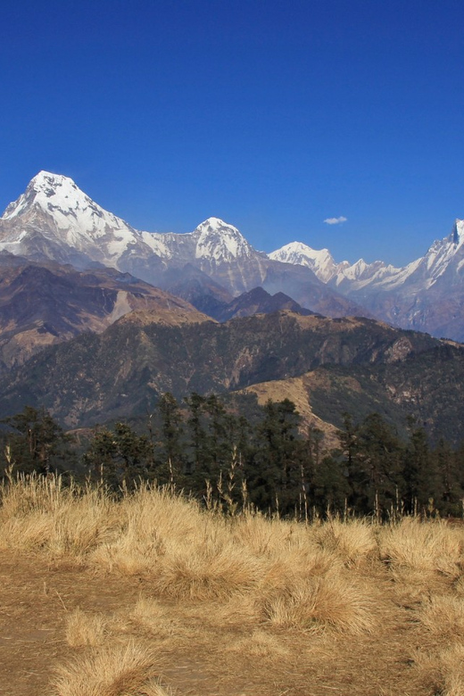 A Week in the Himalayas: Kori Danda and Kahphuche Lake Trek