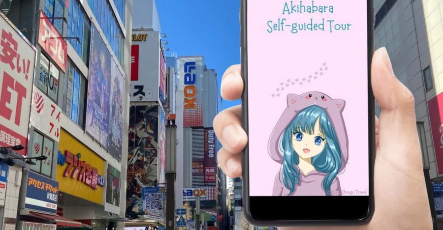 Akihabara: Self-Guided Tour With a Special Brochure - Exploring Akihabaras Vibrant Streets