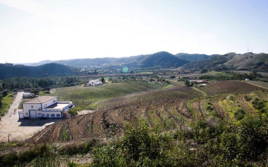 Best Guided Tours In Monchique
