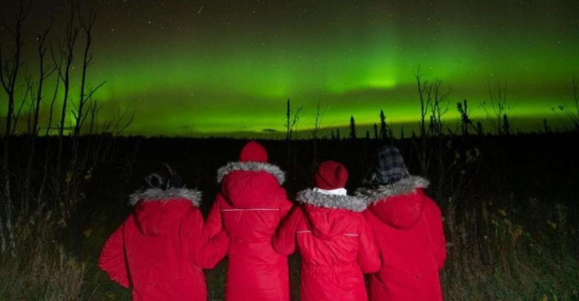 Anchorage: Nighttime Northern Lights Tour - Key Points