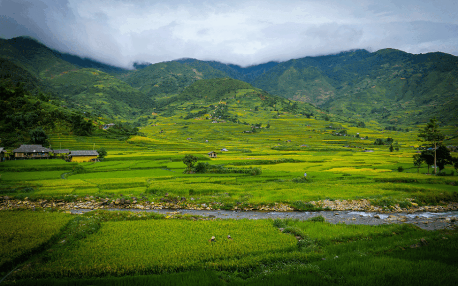 Autumn Yoga Retreat - Mu Cang Chai Rice Terraces - Retreat Overview and Pricing