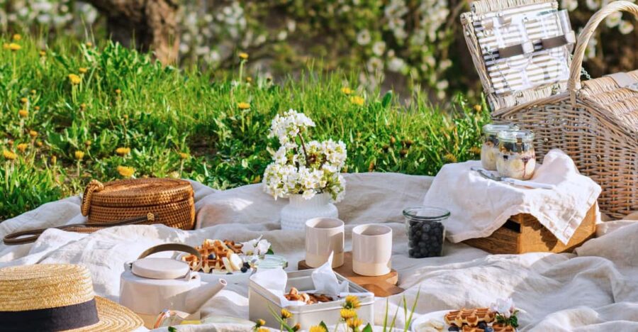 Avignon: Gourmet Picnic With View of the Pont D’avignon