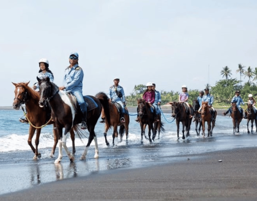 Bali Ubud Horse Riding Experience - Key Points