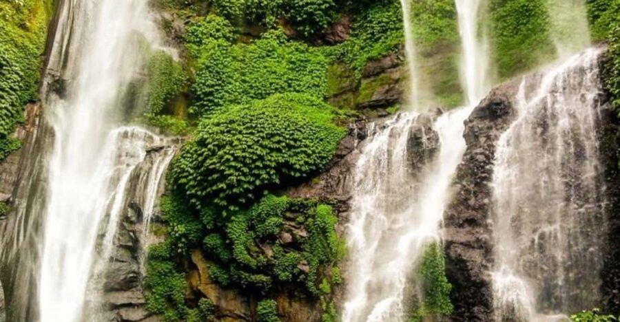 Bedugul: Waterfall Full Day Tour Package