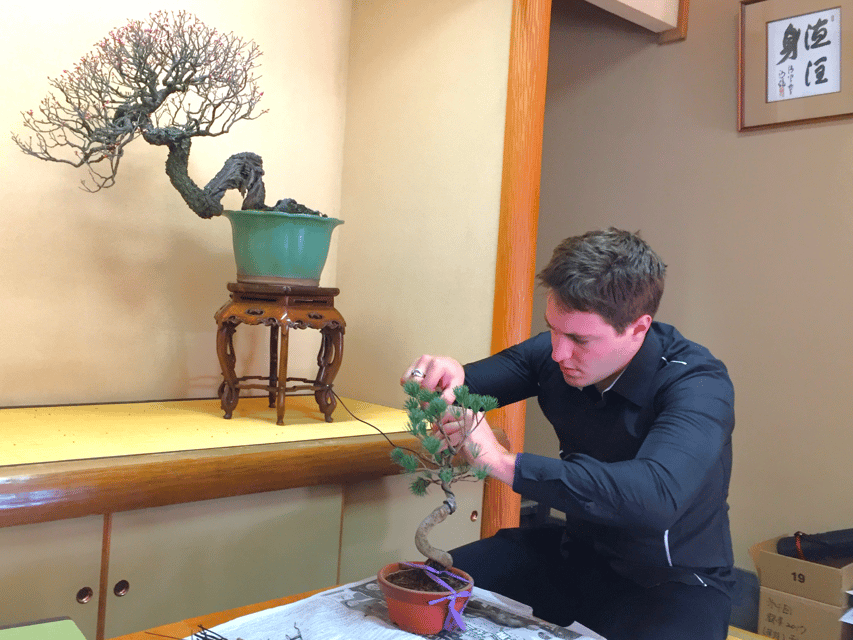 Bonsai City: Bonsai Tour & Experience at Bonsai Sanctuary - General Information