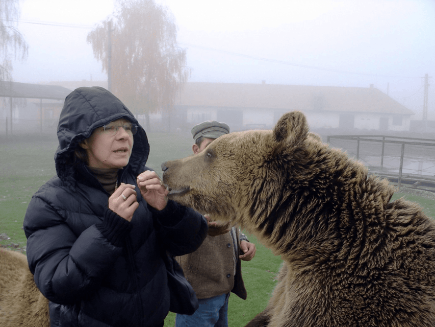Brasov: Libearty Bear Sanctuary