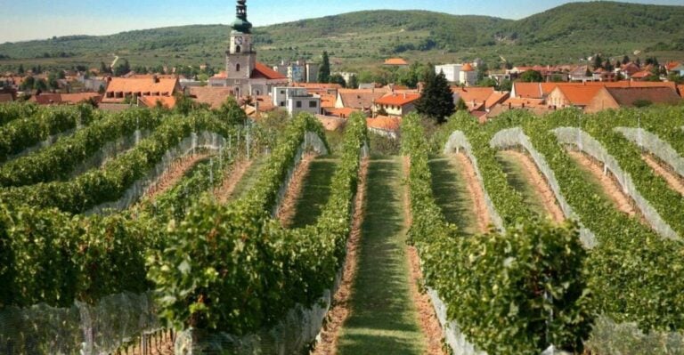 Bratislava: 6-Hour Carpathian Wine Tour and Tasting