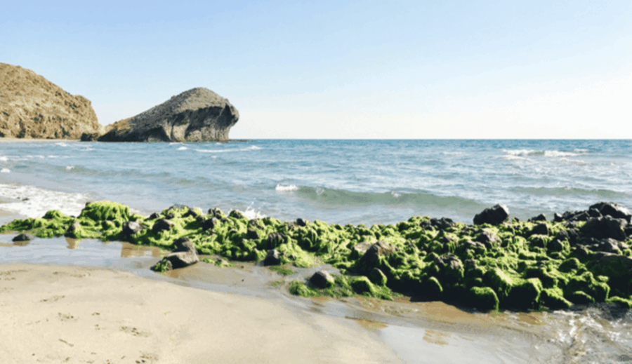 Cabo De Gata: 4×4 Tour Genoveses, Monsul and Gold Mines