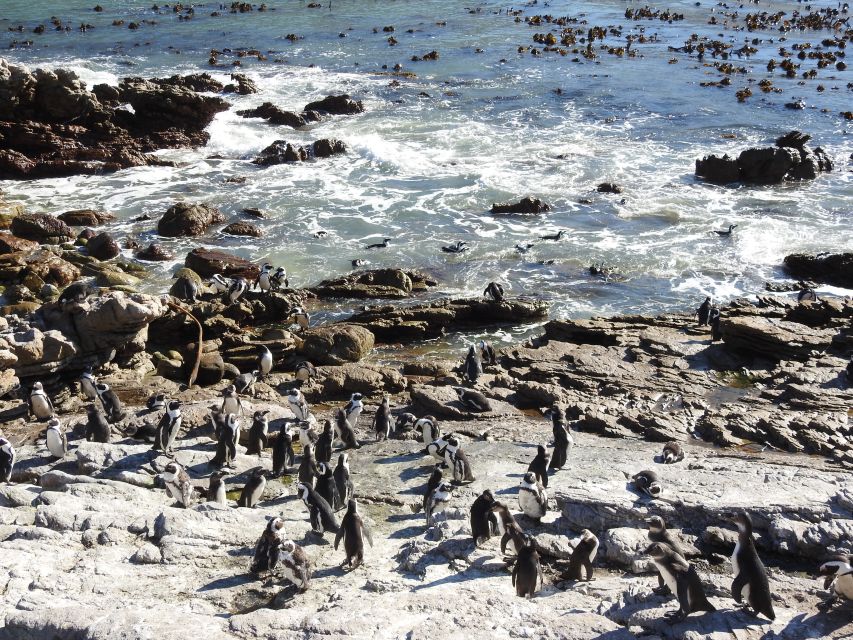 Cape Town and Cape Peninsula Private 3 Day Tour