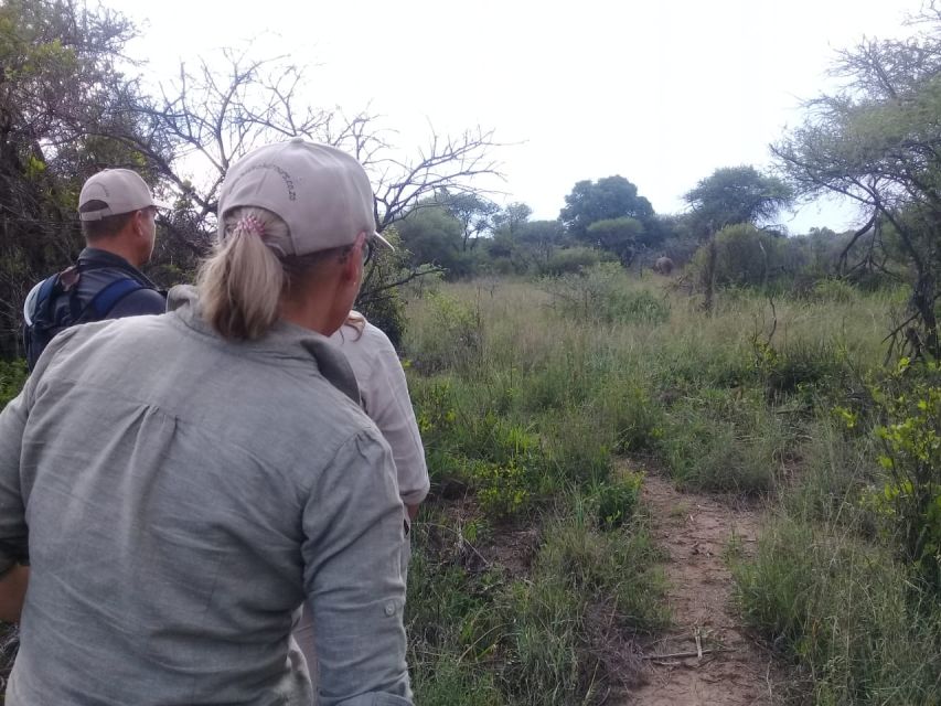 Day Trip Safari : Big 5 Walking Safari With Game Drive