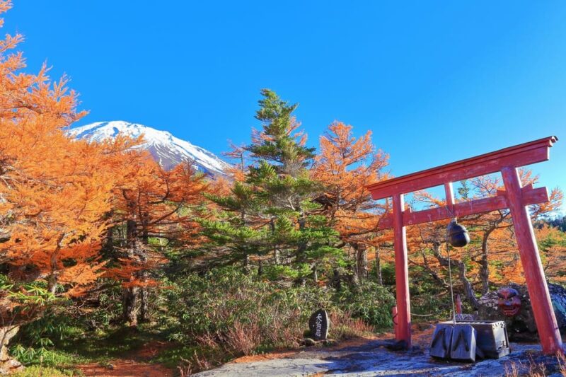 ●Tokyo via Mt. Fuji 5th Station Bus Transfer From Takayama - Key Points