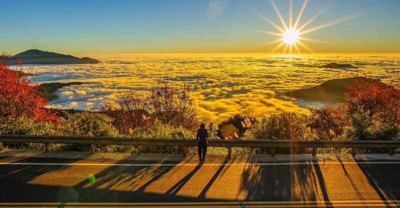 📸🌄 Exclusive 3-Day Sun Moon Lake & Alishan Private Tour - Key Points
