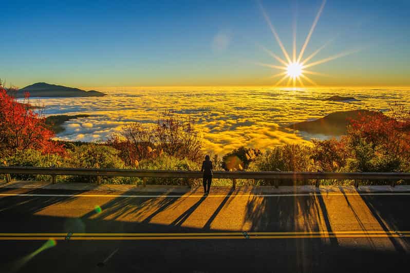 📸🌄 Exclusive 3-Day Sun Moon Lake & Alishan Private Tour - Key Points