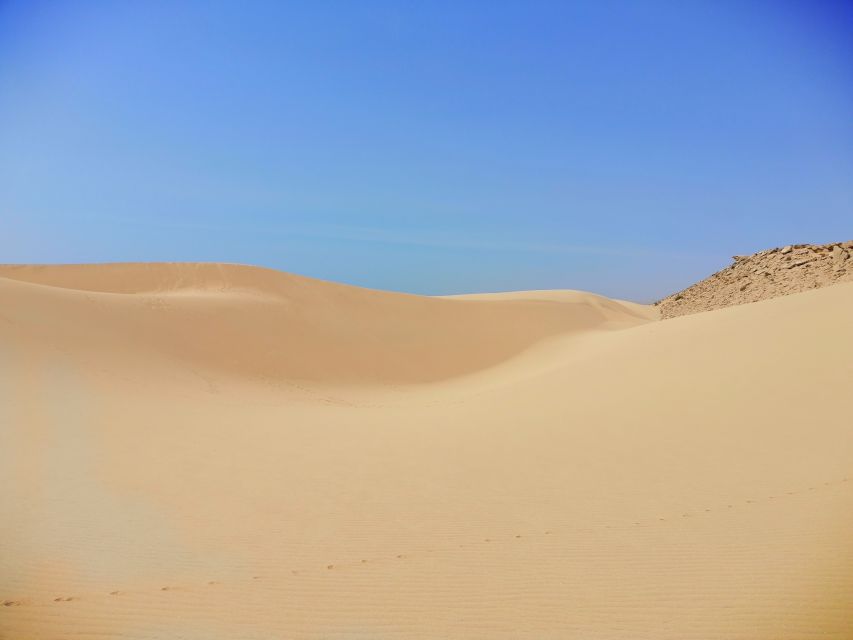 From Agadir/Taghazout: Sahara Sandboarding Guided Tour