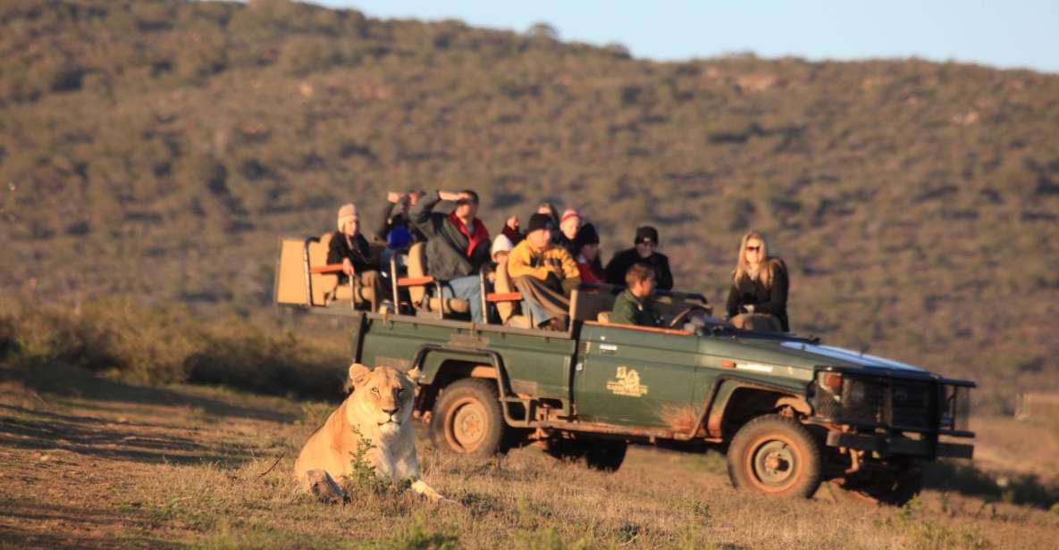 From Cape Town: 5-Day Garden Route & Addo Elephant Park Tour - Departure From Cape Town