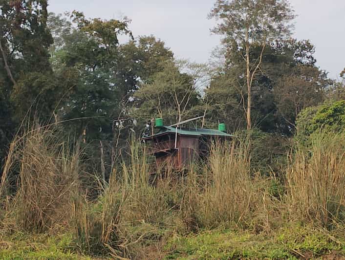 From Chitwan: Jungle Overnight Stay in Chitwan National Park