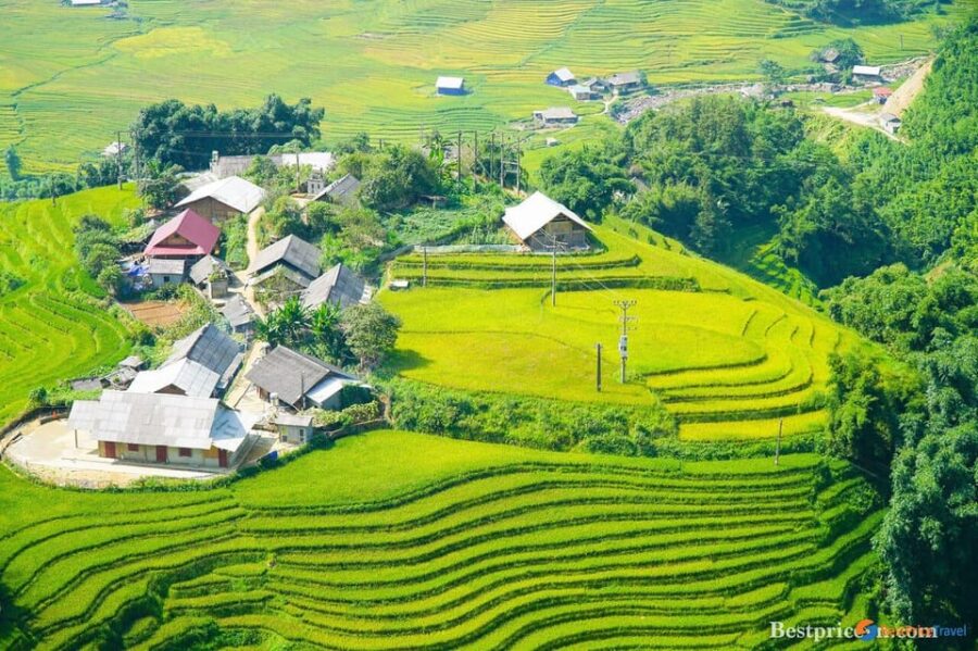 From Hanoi: Sapa Trekking Tour, Visit Terraced Fields 2 Days