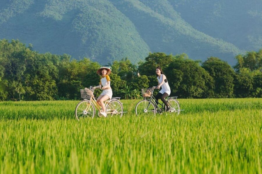 From Hanoi: Visit Famous Scenic Spots In Ninh Binh In 2 Days