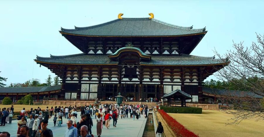 From Kyoto/Osaka: Nara Sightseeing Private Day Tour