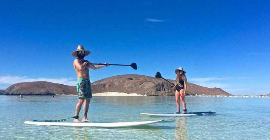 From La Paz: Espiritu Santo Island Adventure - Key Points