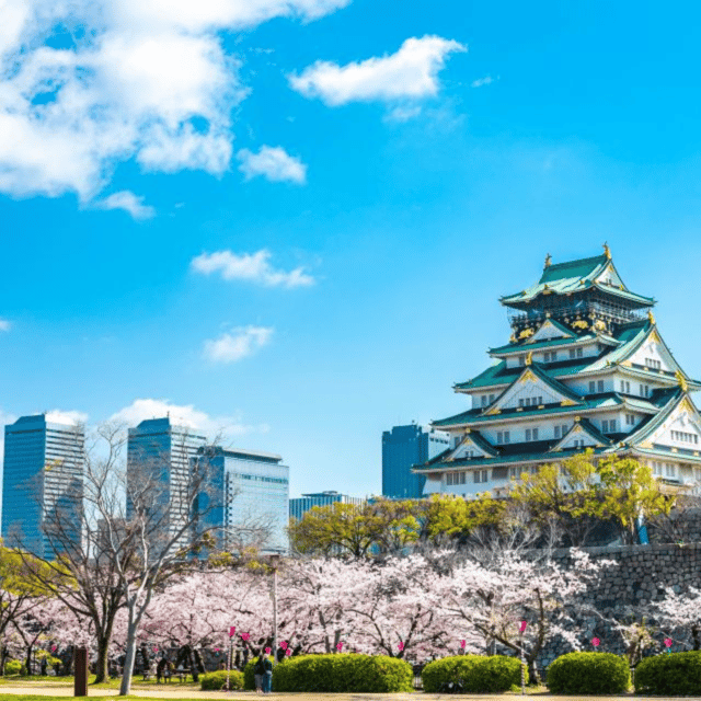 From Osaka: Private Customisable Osaka Full Day Tour By Car - Tour Overview