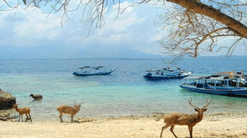 9 Best 3 Day Tours In Banyuwangi