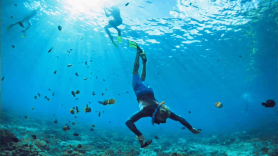 Full Day Nusa Penida Tour Packages With Transfers From Bali