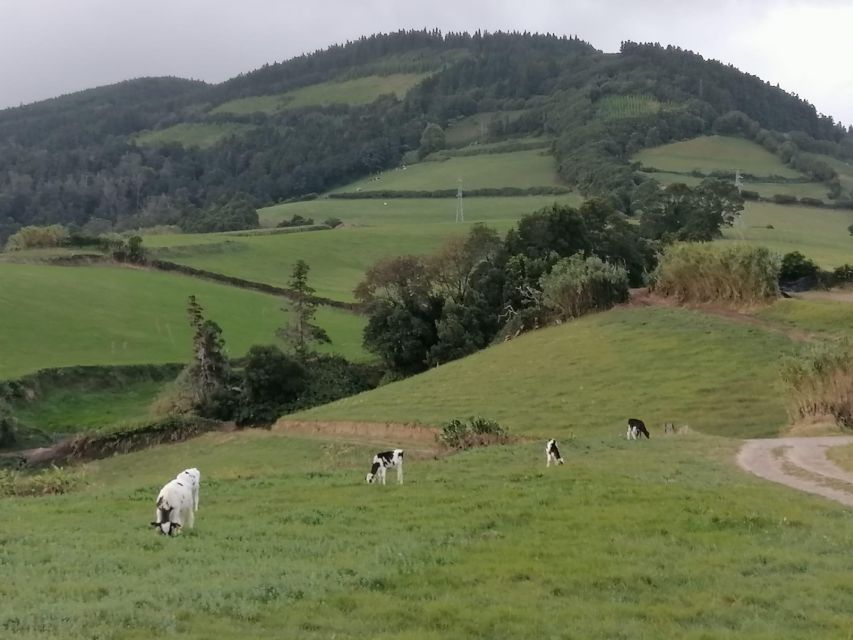 Full Day Tour Sete Cidades and Lagoa Do Fogo €75