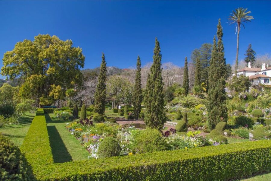 Funchal: Palheiro Gardens and Old Town Private Tuk Tuk Tour