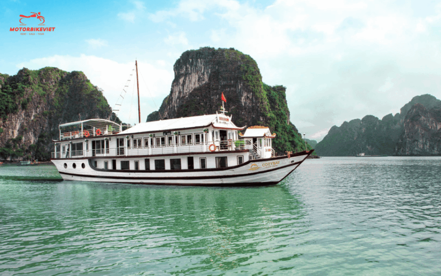 Ha Long Cruise 2 Days 1 Night - Luxury - Overview and Pricing