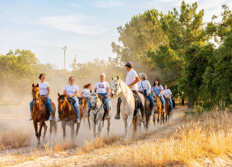 Horseback Riding on the Beach – PDT