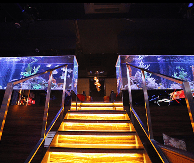 Kabukicho, Shinjuku: Experiencing the Japanese Host Club Culture - Experience Details