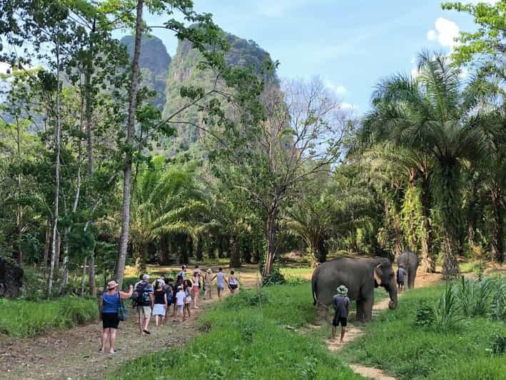 Khao Sok: Elephant Sanctuary With Eco Guided Tour