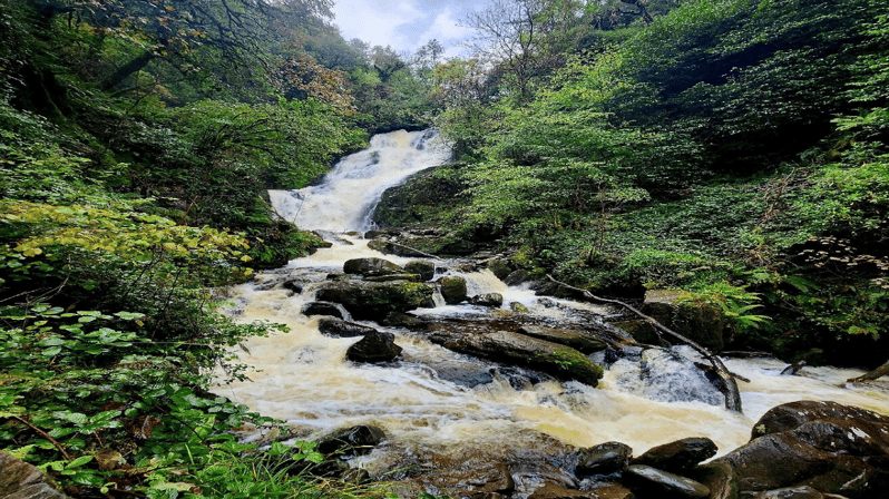 Killarney Area Half Day Tour