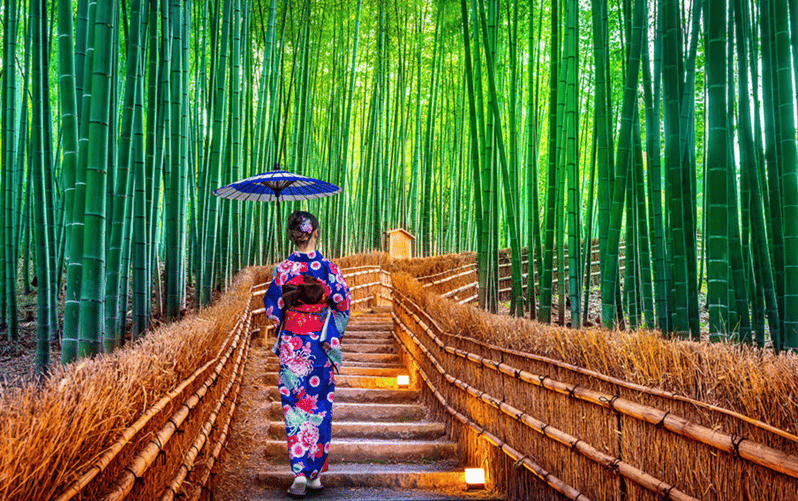Kyoto Day Tour With Certified Tour Guide & Luxury Vehicle - Tour Details