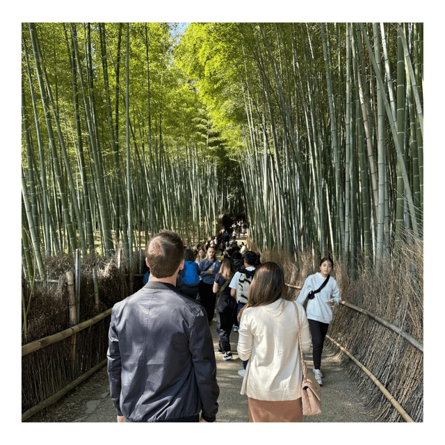 Kyoto: Private Kyoto Car Tour With Hotel Pickup and Drop-Off - Tour Overview