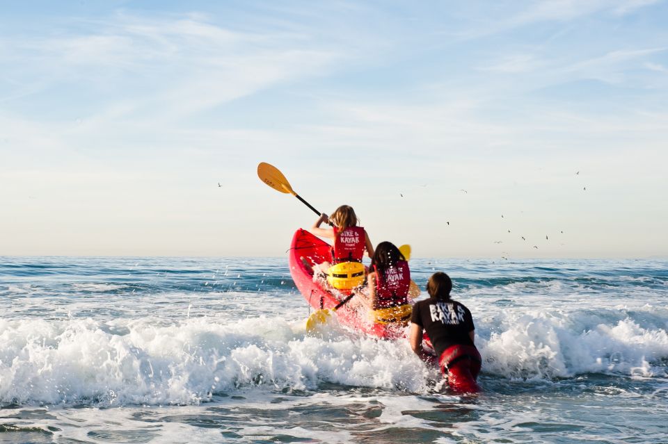 La Jolla: 2-Hour Kayak Tour of the 7 Caves - Key Points