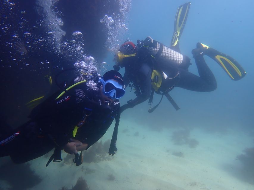 Lisbon: Try Dive in Arrábida Natural Park and Marine Reserve