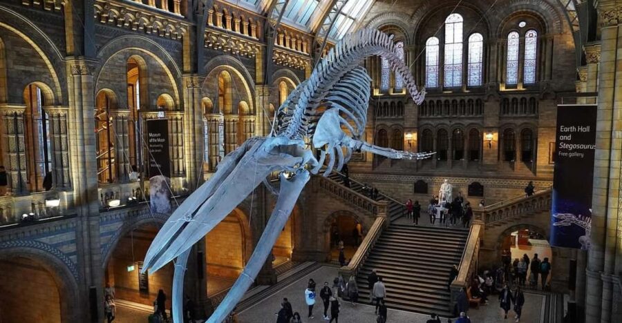 London: Luggage Storage Close to Natural History Museum