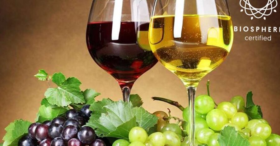 Madeira: Wine Tasting Experience Honey Museum and Cabo Girão - Tour Overview and Pricing